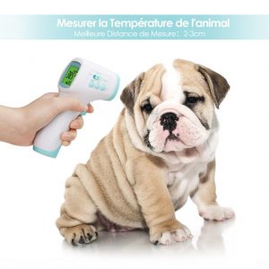 thermomètre intey temperature chien