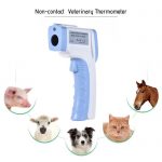thermometre animaux veterinaire